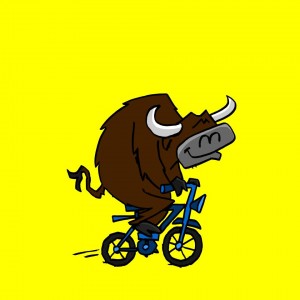 bull on a bike