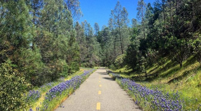 10 Ways you can help Redding Trails and stay safe yourself